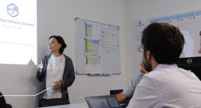 F.I.S. - Fabbrica Italiana Sintetici Spa