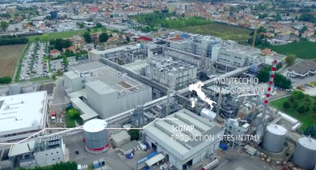 F.I.S. - Fabbrica Italiana Sintetici Spa