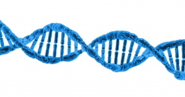 Utilizzare il machine learning e il DNA per prevedere il rischio di aneurisma