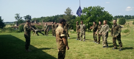 Outdoor training: un’esperienza di team building aziendale al di fuori dell’azienda 