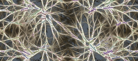 Progressi in neuroscienze e in psicologia